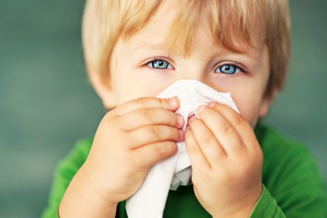 The Nose Knows: Exploring the Scientific Role of the Olfactory System in Memory Recall of Odors