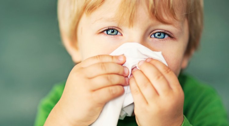 The Nose Knows: Exploring the Scientific Role of the Olfactory System in Memory Recall of Odors